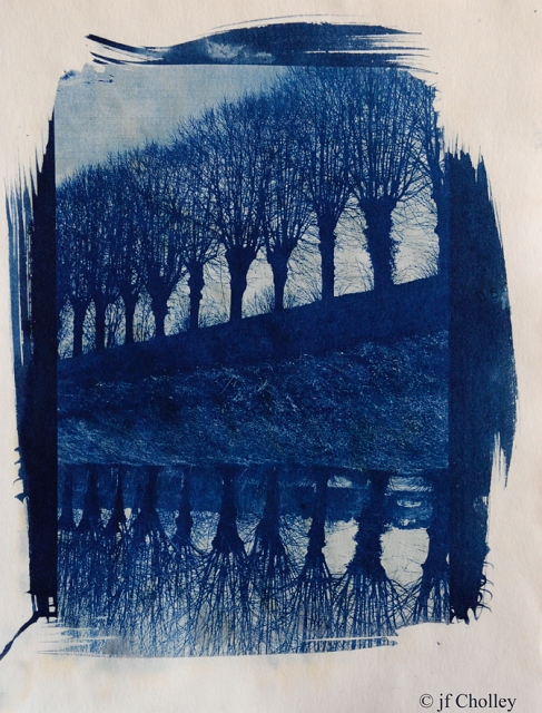 Cyanotype Sarthe arbres72.jpg - cyanotype bords de Sarthe